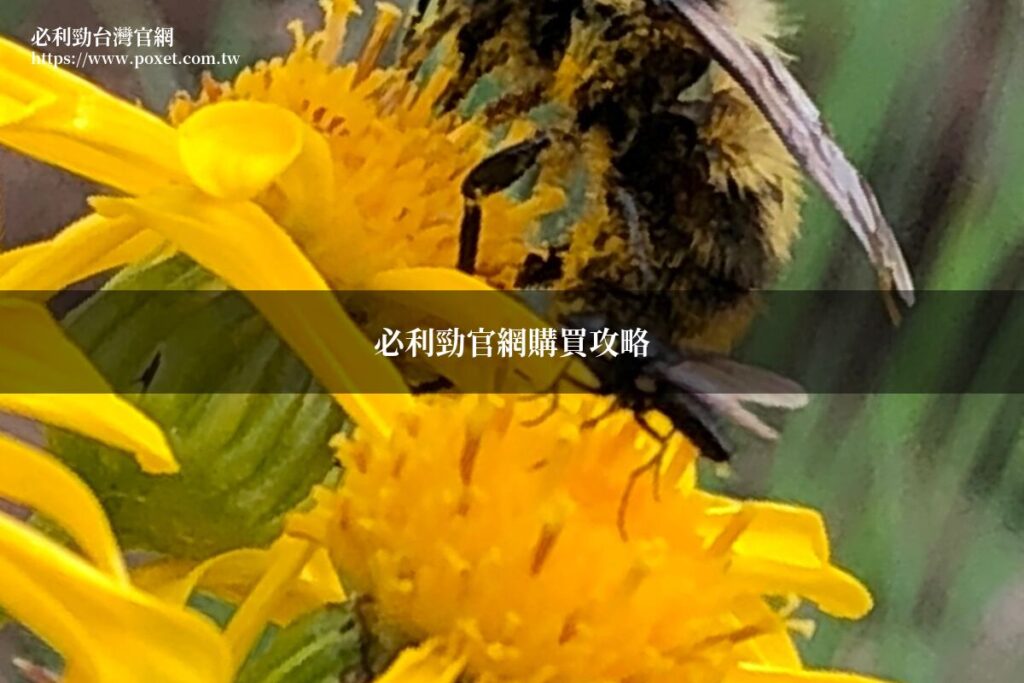 poxet fm watermarked